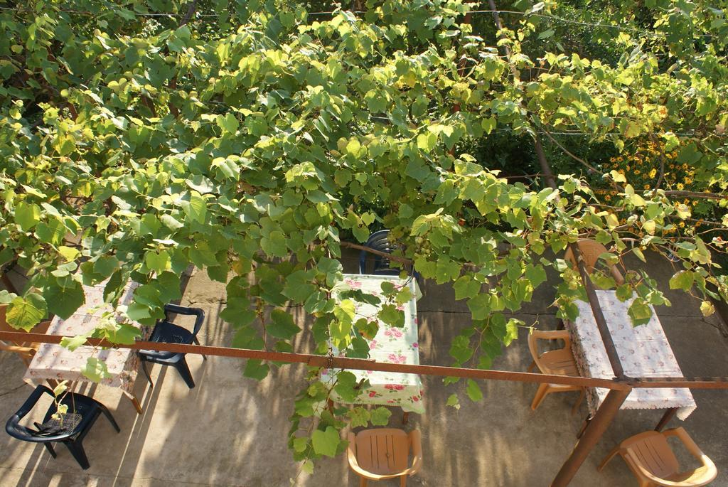 Merabi And Neli Guest House Makhinjauri Værelse billede